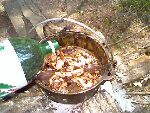 Adding the water and spices.