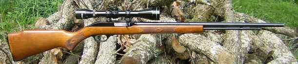 Marlin Model 60 22LR